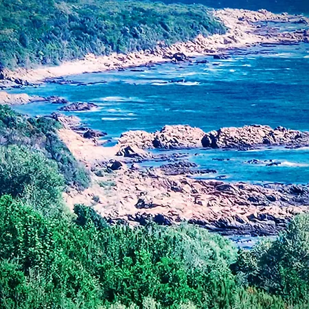 Vue Sur Conca
