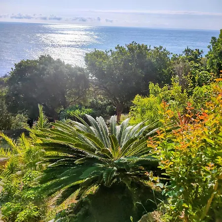 Διαμέρισμα Vue Sur