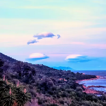 Vue Sur *