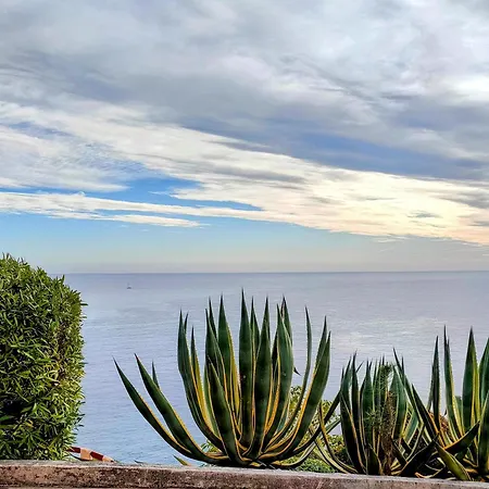 Appartement Vue Sur Conca