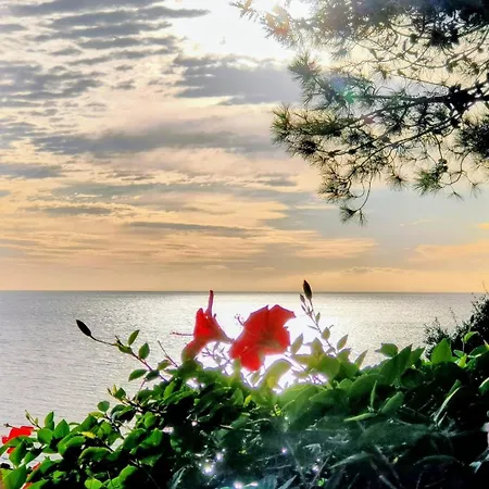 Vue Sur Appartement Conca