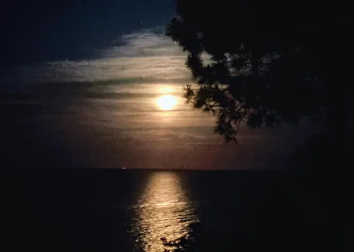 Vue Sur 公寓 孔卡