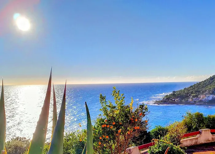 Vue Sur 公寓 孔卡