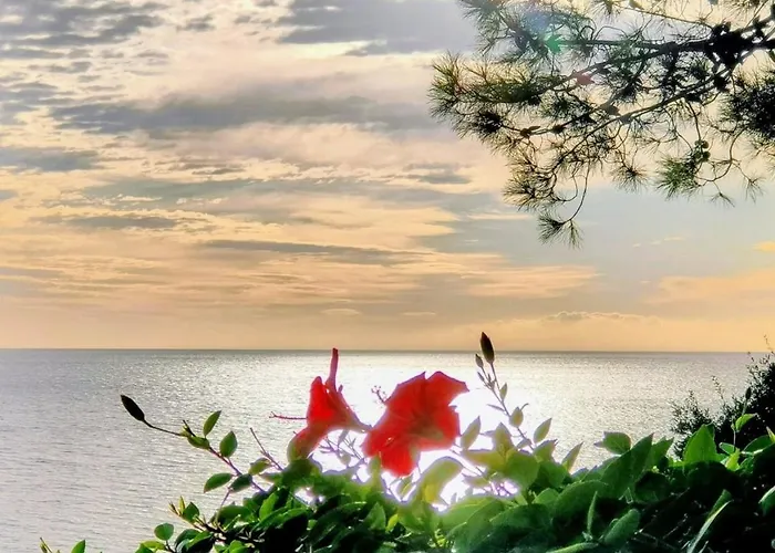 Vue Sur 公寓 孔卡