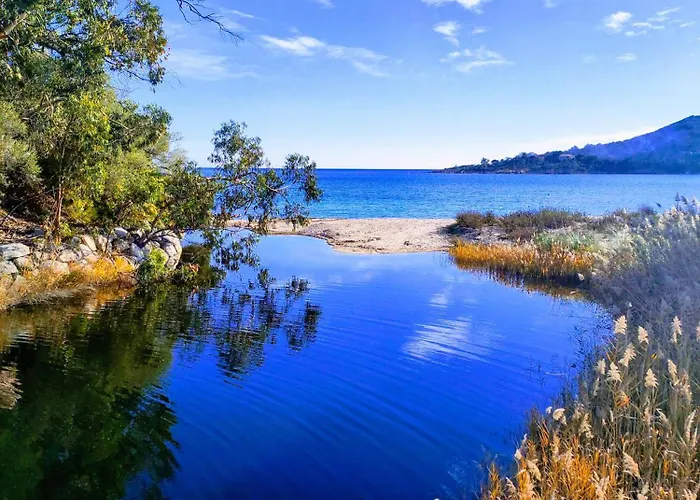 Vue Sur 公寓 孔卡